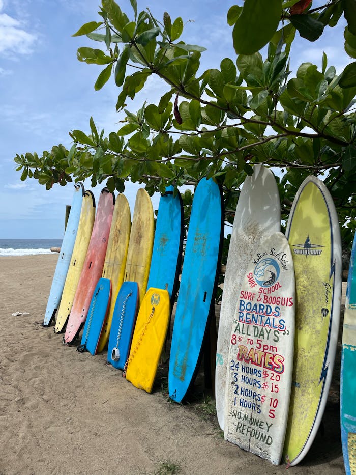 A vibrant row of surfboards lined up on a tropical beach under lush greenery.